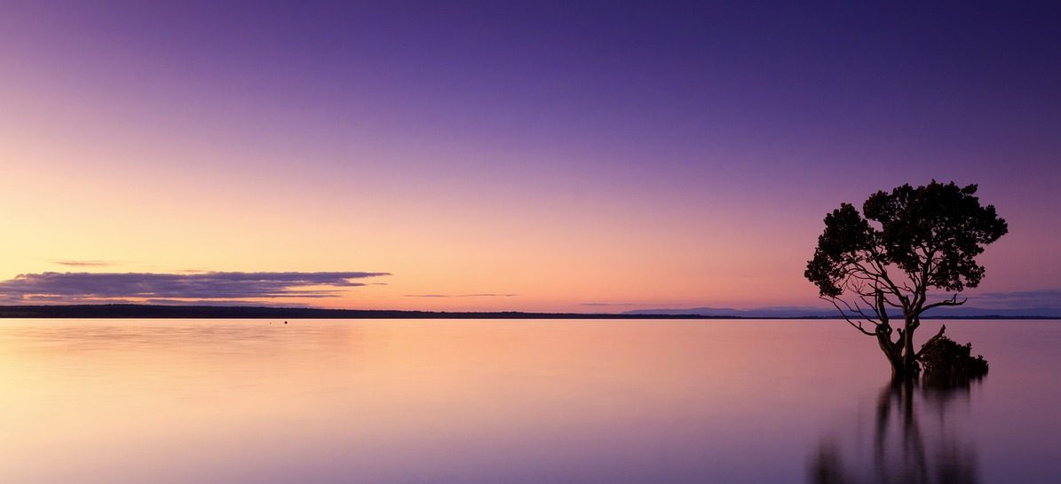 sunset, tree, water